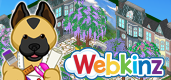 Webkinz Room Designs