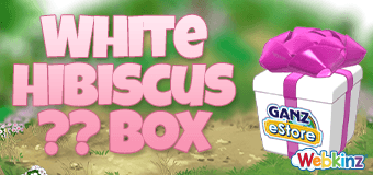 Transform your pet's room into a Hibiscus oasis this July!