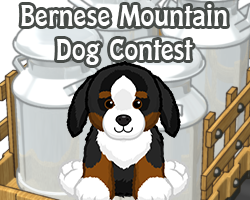 POTM Contest