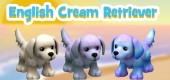 english-cream-retriever-feature