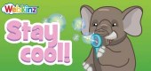 staycool_postcard_feature