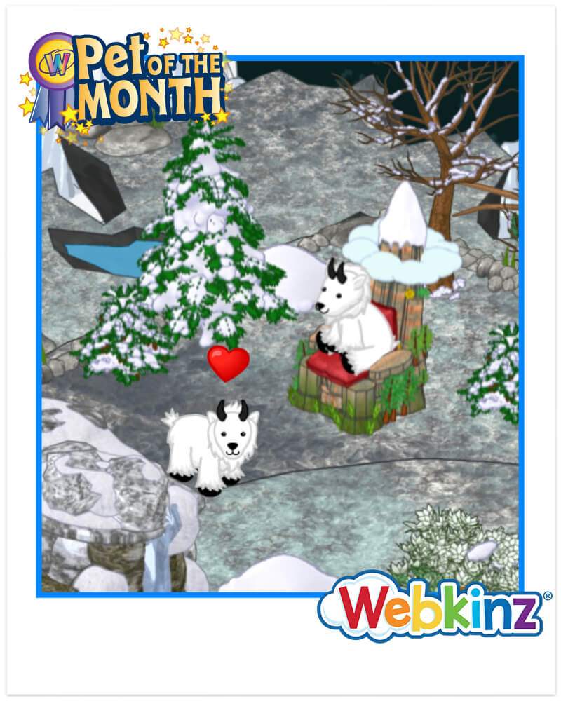 `ARTICLE-potm-MountainGoat