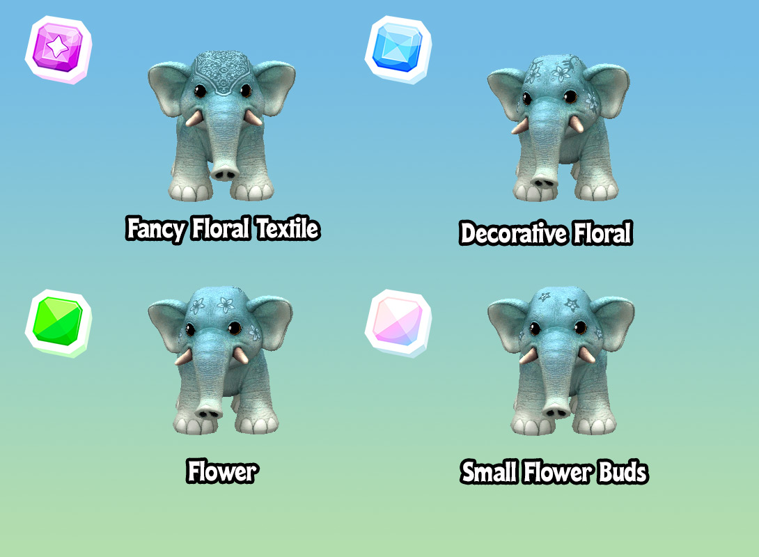 Asian-Elephant-Face