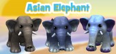 Asian-Elephant-Feature