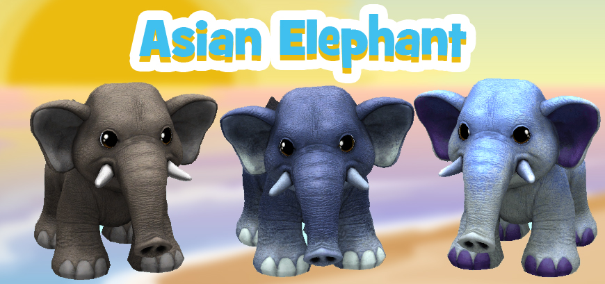 Asian-Elephant-Feature