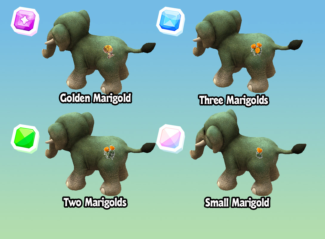 Asian-Elephant-Pet-Patch