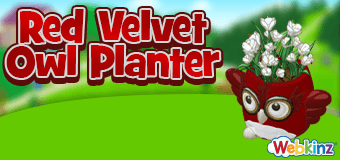 RedVelvetOwlPlanter-feature