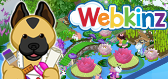 Webkinz Room Designs