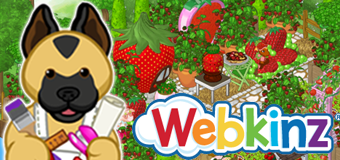 Webkinz Room Designs