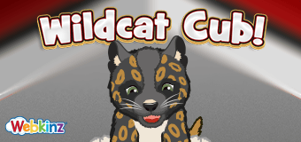 The Wildcat Cub arrives in Webkinz World September 1, 2026!