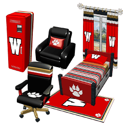WildcatsBox_240