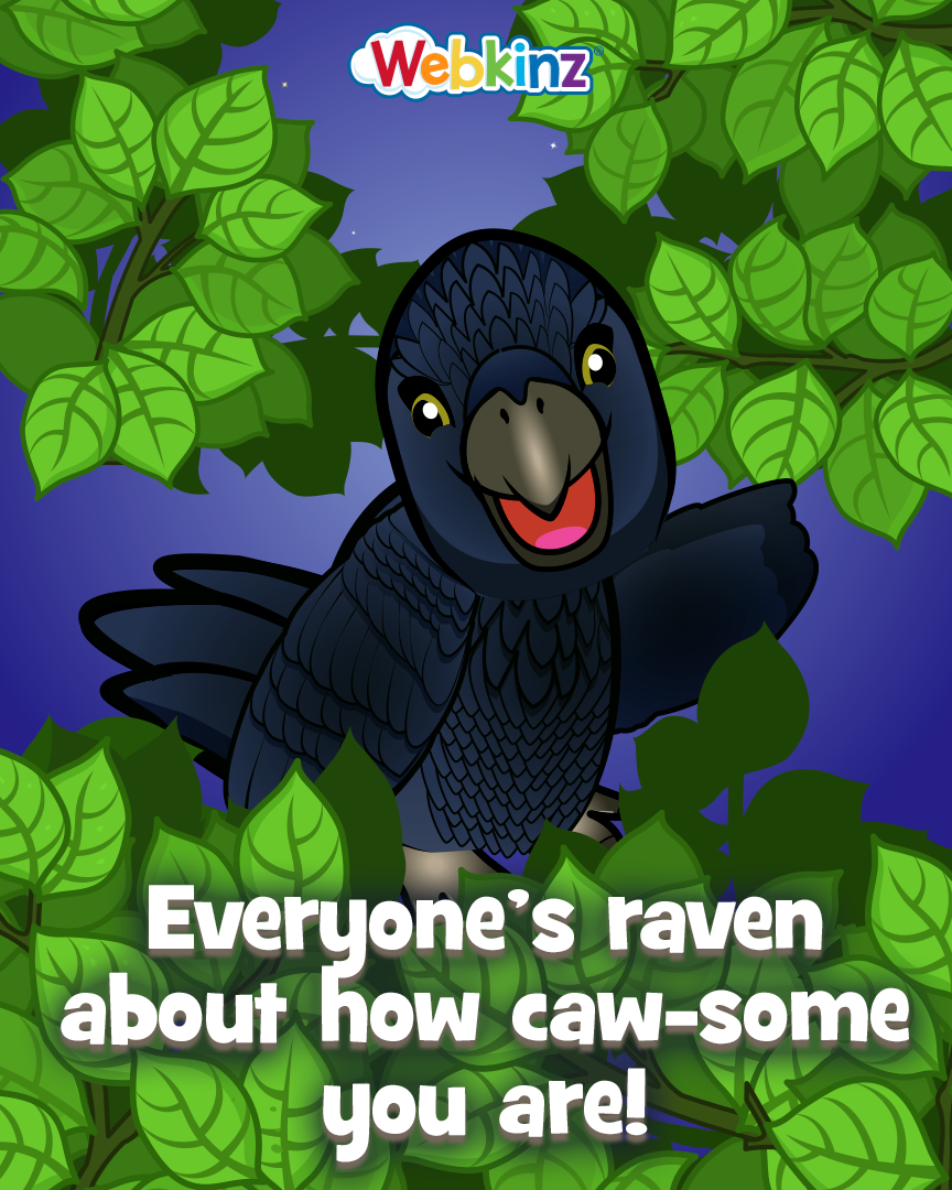 motivational_monday_birds_raven
