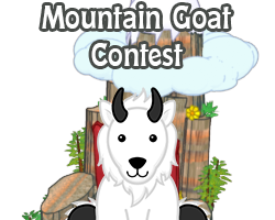 POTM Contest
