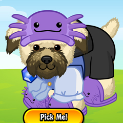 `ARTICLE-spooky-PurpleAxolotlHat-Slippers