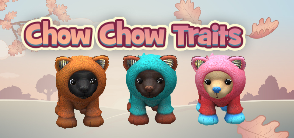 Chow-Chow-Feature