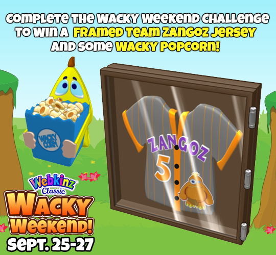 Wacky Weekend Challenge Prizes