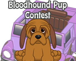 POTM Contest