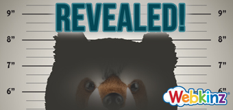 reveal_sept10_feature