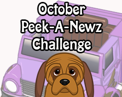 Peek-A-Newz Challenge