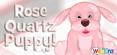 RoseQuartzPuppy-feature