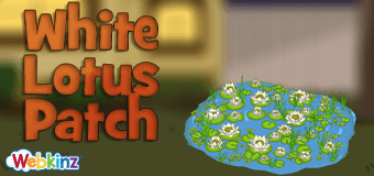 WhiteLotusPatch-feature